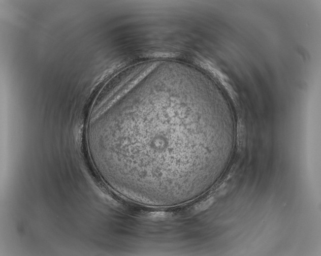 X0000112900153200909111532