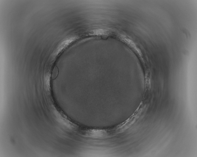 X0000112900154200909111532
