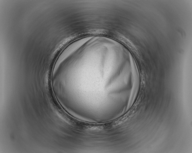 X0000112900155200909111532