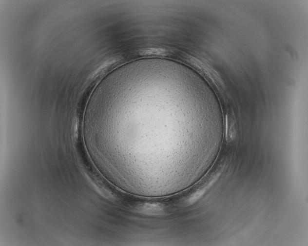X0000112900157200909111532