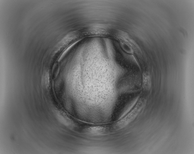 X0000112900158200909111532