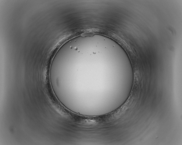 X0000112900159200909111532