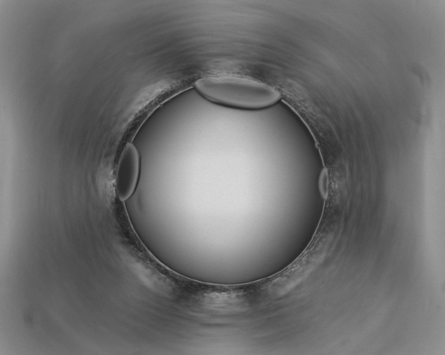 X0000112900160200909111532
