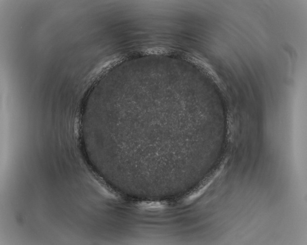X0000112900161200909111532