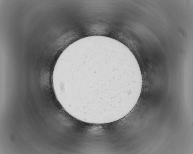 X0000112900162200909111532