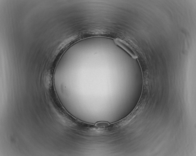 X0000112900164200909111532