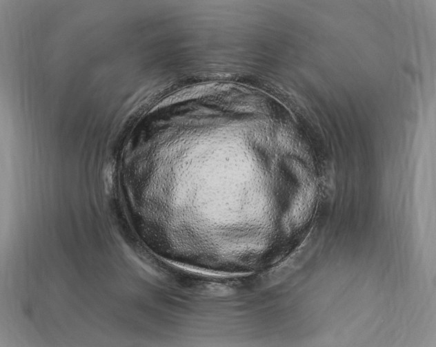 X0000112900166200909111532