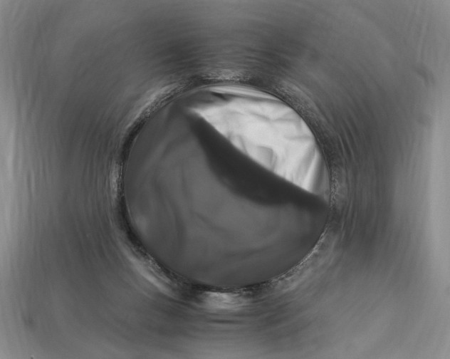 X0000112900167200909111532
