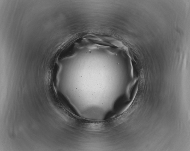 X0000112900168200909111532