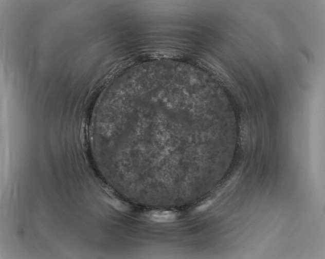 X0000112900169200909111532