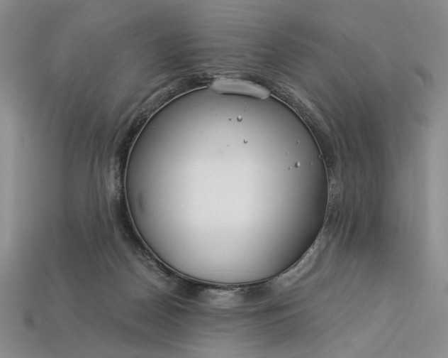 X0000112900170200909111532