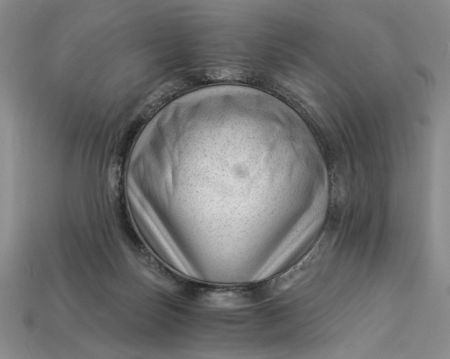 X0000112900171200909111532