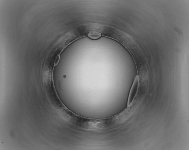 X0000112900172200909111532