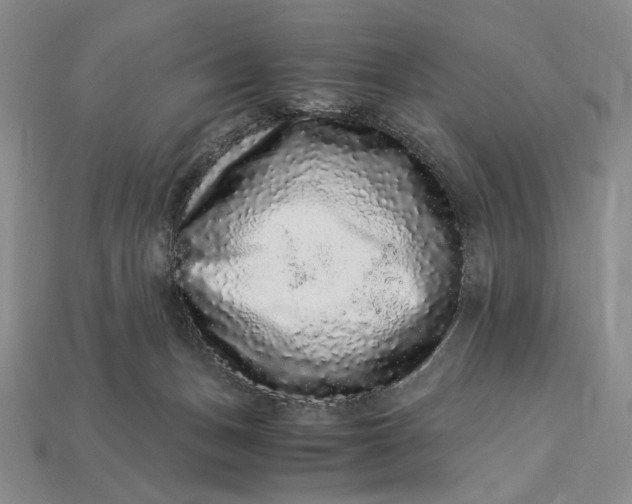 X0000112900175200909111532