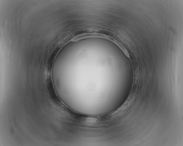 X0000112900176200909111532