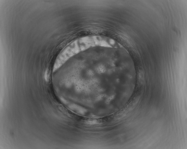 X0000112900177200909111532