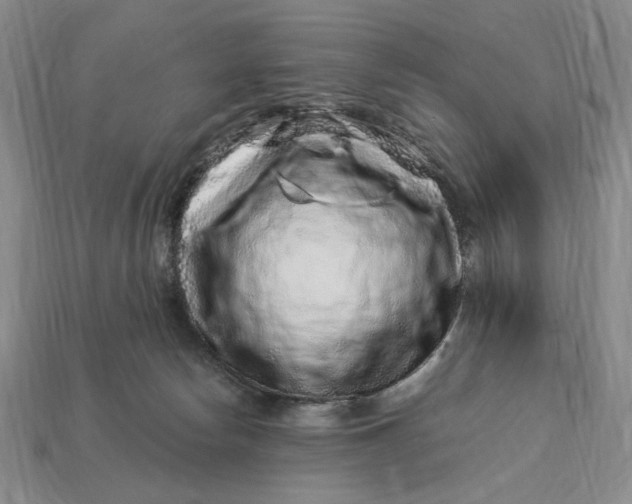 X0000112900178200909111532