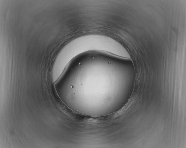 X0000112900180200909111532