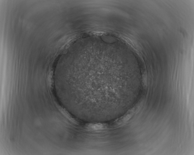 X0000112900181200909111532