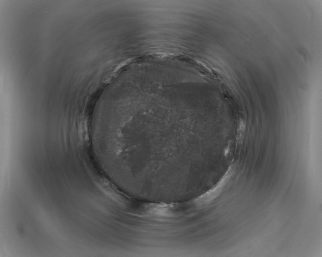 X0000112900182200909111533