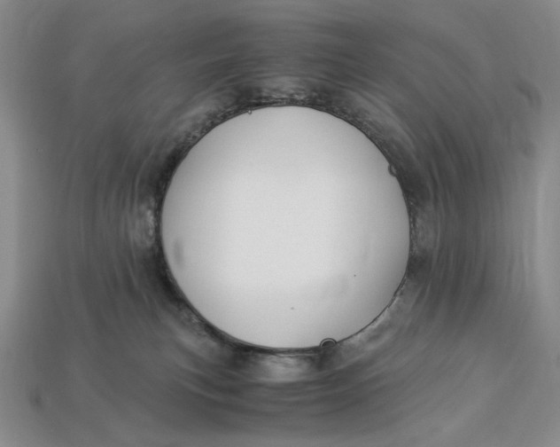X0000112900183200909111533