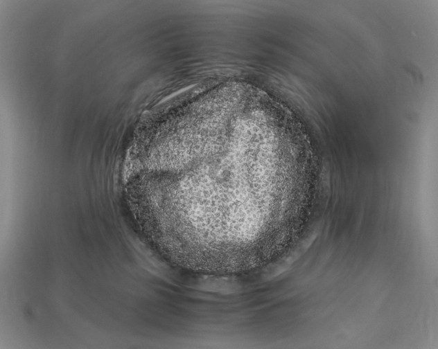 X0000112900185200909111533