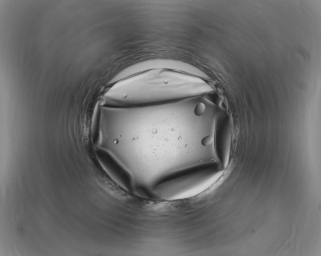 X0000112900186200909111533