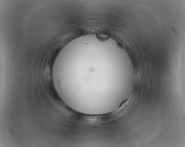 X0000112900187200909111533