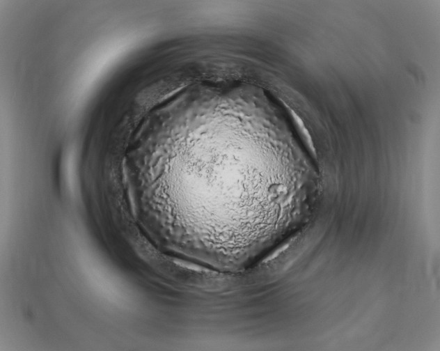 X0000112900189200909111533