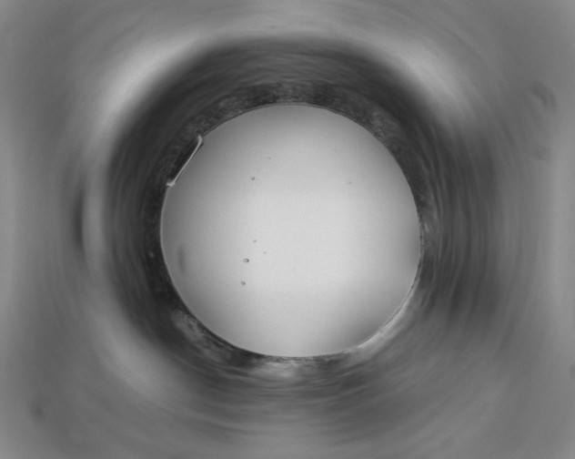 X0000112900190200909111533