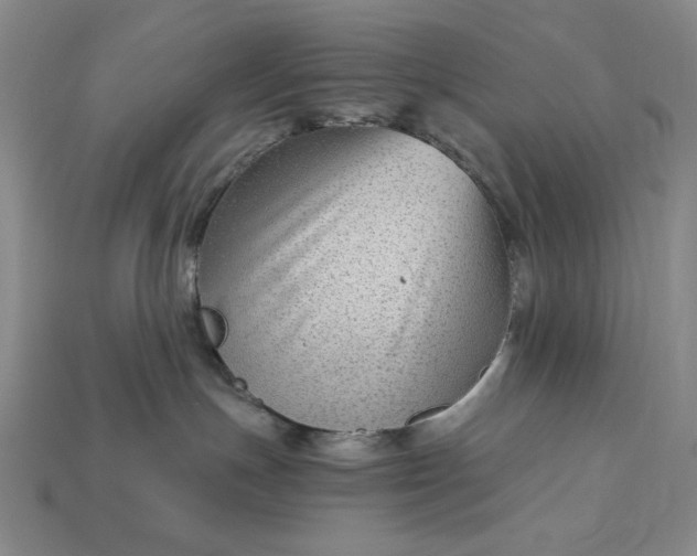 X0000112900191200909111533