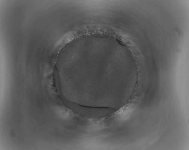 X0000112900192200909111533