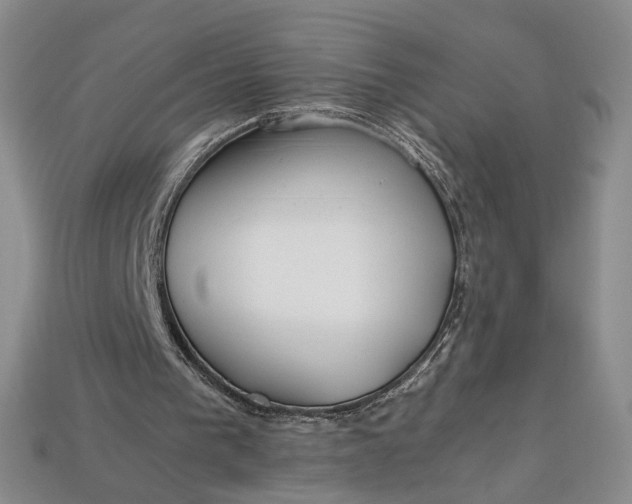 X0000112900193200909111532
