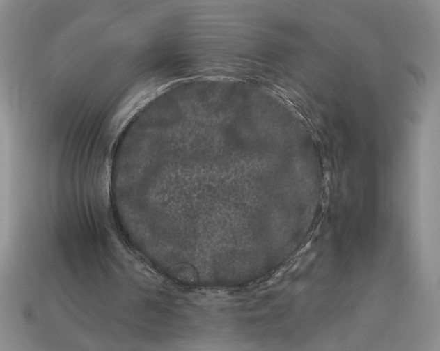 X0000112900194200909111532