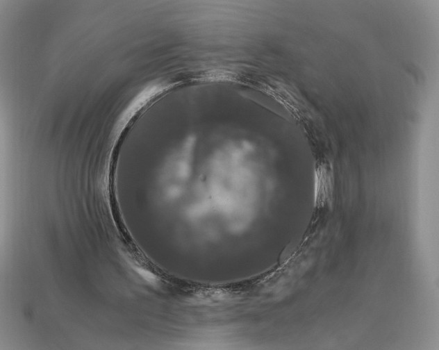 X0000112900195200909111532