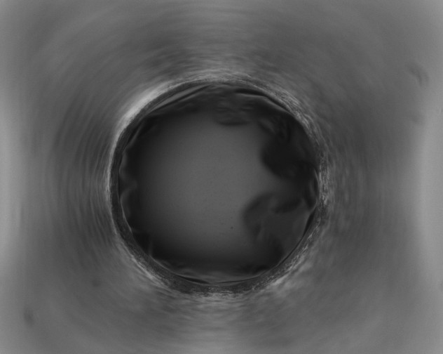 X0000112900196200909111532