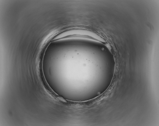 X0000112900197200909111532