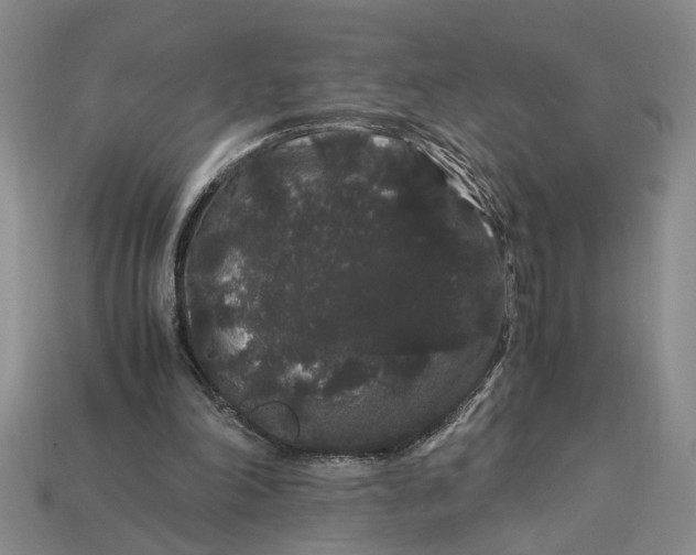 X0000112900198200909111532