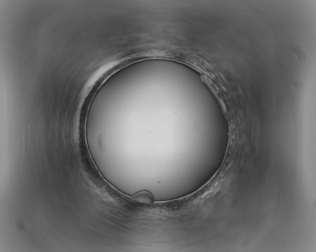 X0000112900200200909111532