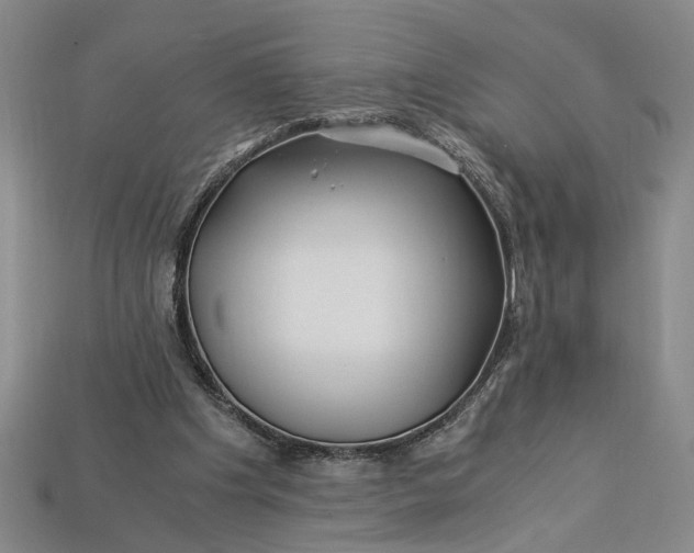 X0000112900201200909111532