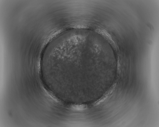 X0000112900202200909111532