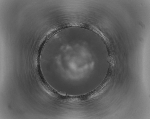 X0000112900203200909111532