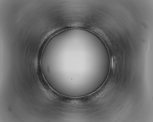 X0000112900204200909111532