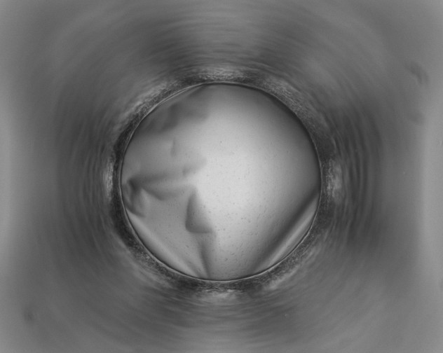 X0000112900206200909111532