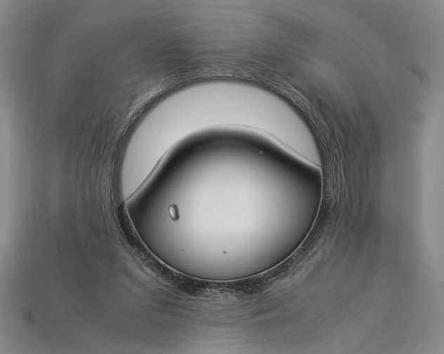 X0000112900207200909111532