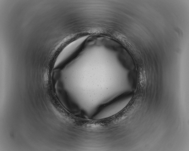 X0000112900208200909111532