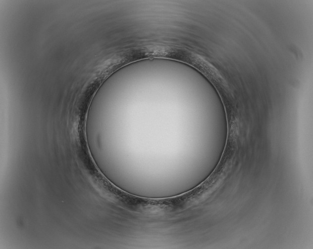 X0000112900209200909111532