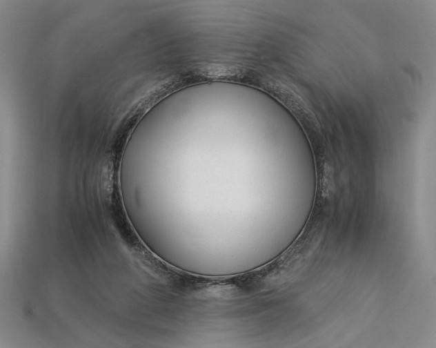 X0000112900210200909111532