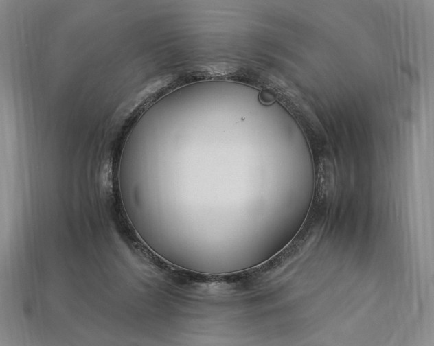 X0000112900212200909111532
