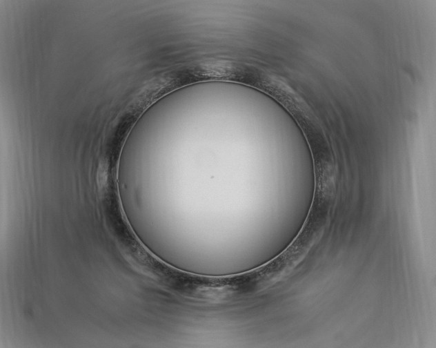 X0000112900213200909111532